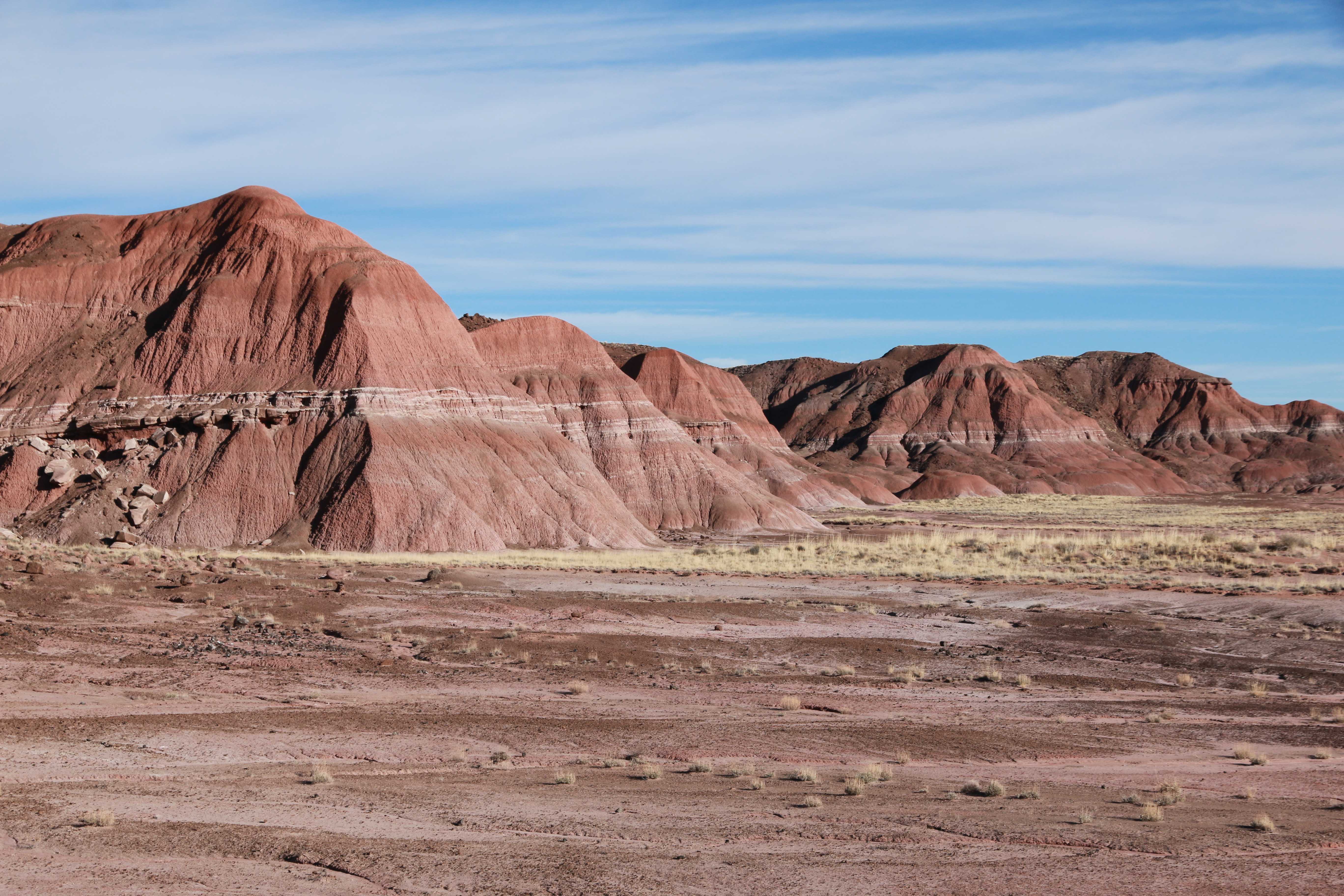 Petrified Forest NP